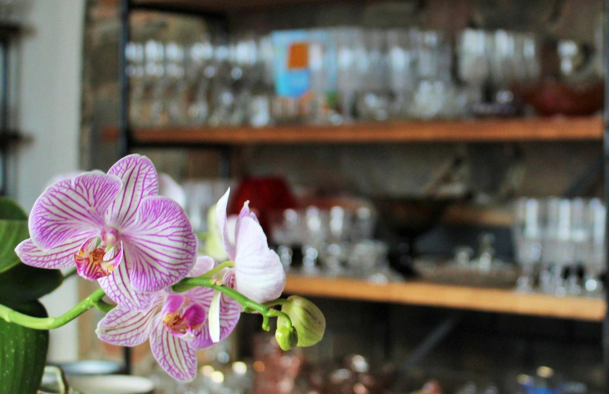 Barrydale Karoo - Boutique Hotel Εξωτερικό φωτογραφία